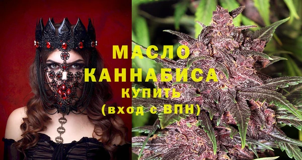 мдпв Протвино