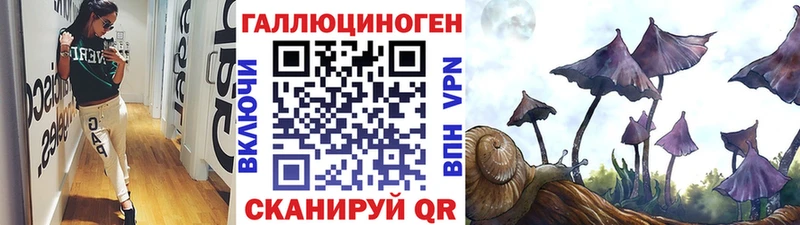 Галлюциногенные грибы GOLDEN TEACHER  Купить где  Хабаровск 